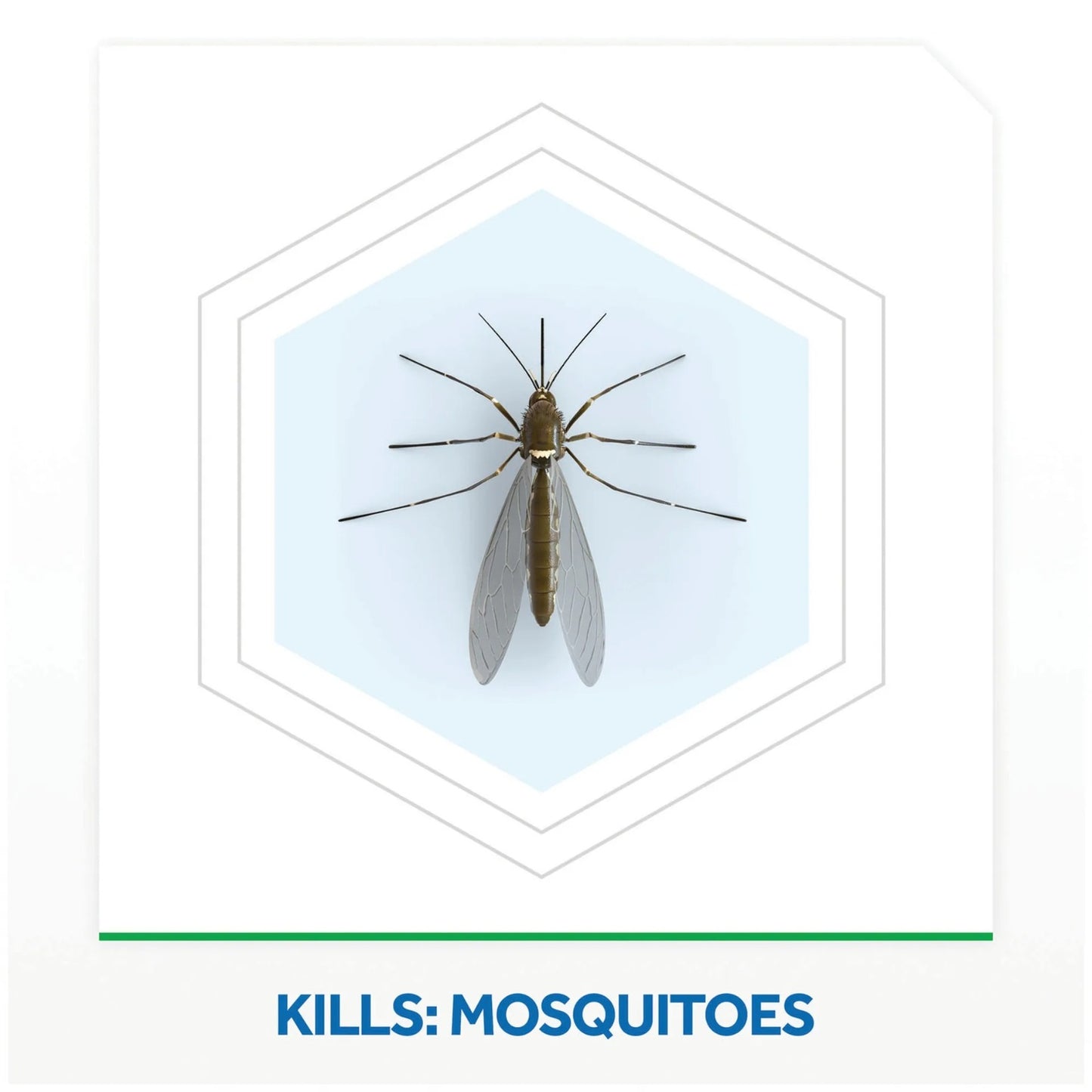Raid Electric Mosquito Diffuser with Refill 30 Nights