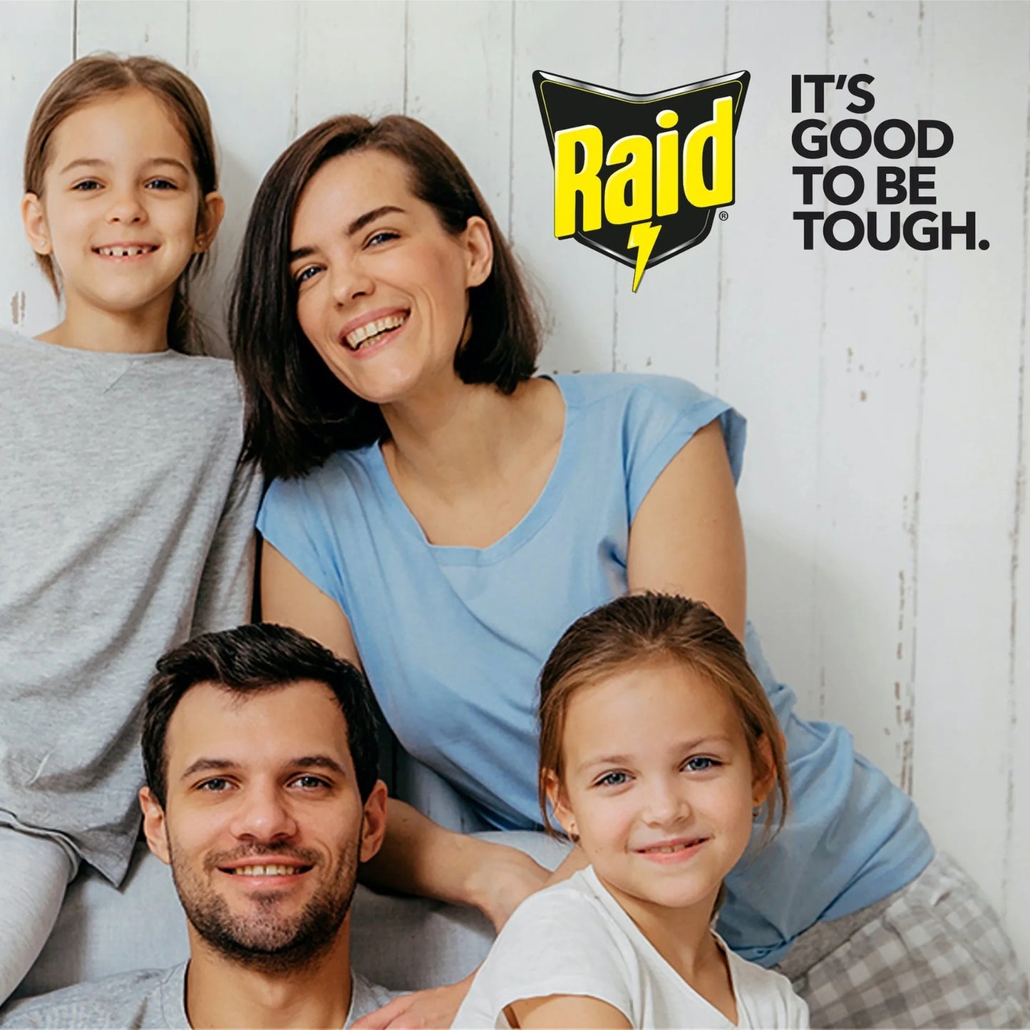 Raid Powder Cockroaches And Ants Continuous Protection 250 g