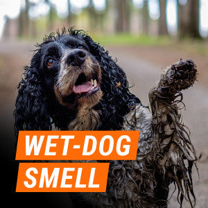 Armor All Fresh FX Smoke X Vent Clip Car Air Freshener Citrus Breeze, 0.08 oz