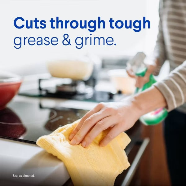 Clorox Original Clean-Up All Purpose Cleaner with Bleach, 32 FL OZ