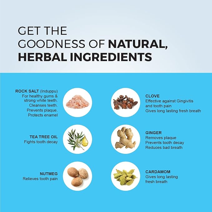 K P Namboodiri's Natural Salt Toothpaste 100g