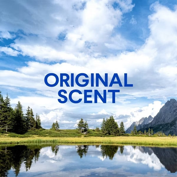 Clorox Original Clean-Up All Purpose Cleaner with Bleach, 32 FL OZ