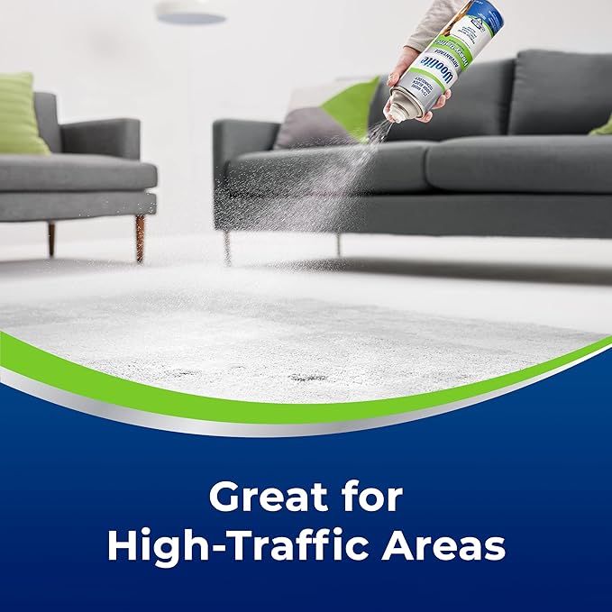 Woolite Heavy Traffic Fresh Scent Carpet Cleaner 22 oz Foam