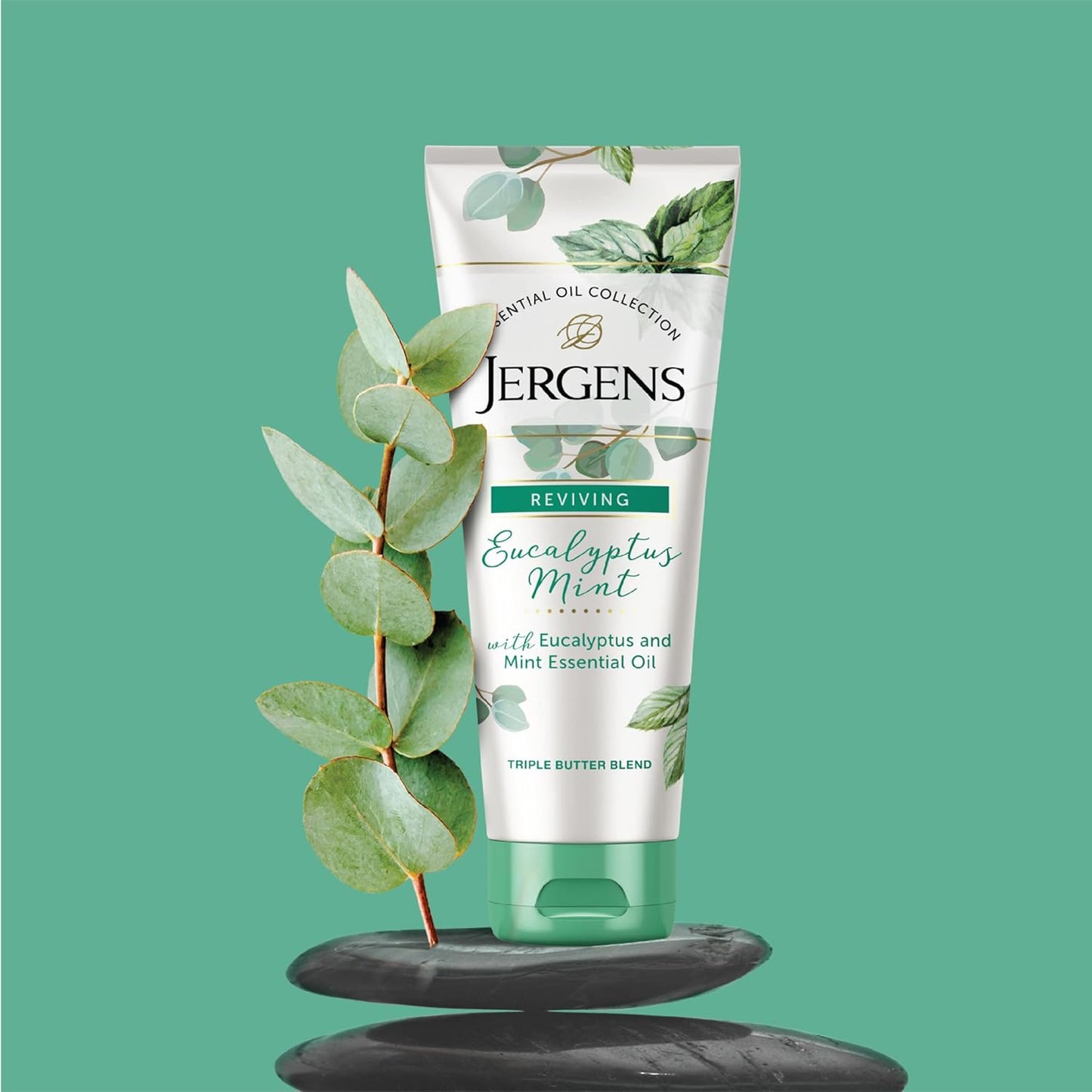 Jergens Eucalyptus Mint Calm & Renew Body Butter 207ml