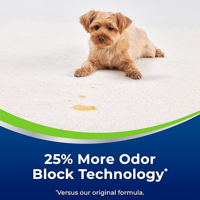 Woolite Heavy Traffic Fresh Scent Carpet Cleaner 22 oz Foam