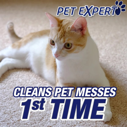 Resolve Pet Stain Remover Spray - 22oz