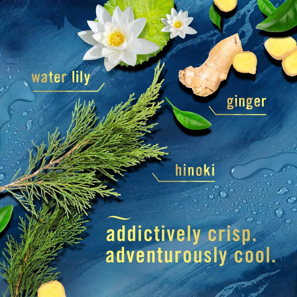 Febreze Car Air Freshener Vent Clip - Ocean Scent - 0.14 fl oz/2pk