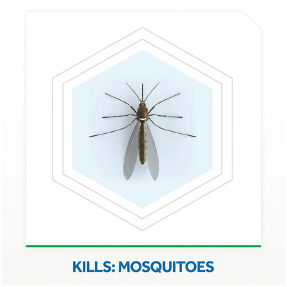 Raid Electric Mosquito Diffuser with Refill 30 Nights