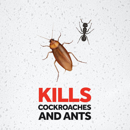 Raid Powder Cockroaches And Ants Continuous Protection 250 g