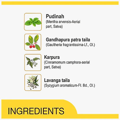 Amrutanjan Aromatic Balm for Headache - 9 ml