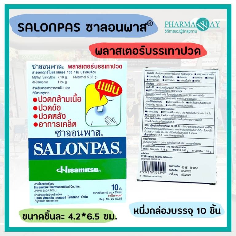 Salonpas Hisamitsu Pain Relief Patches Box of 10