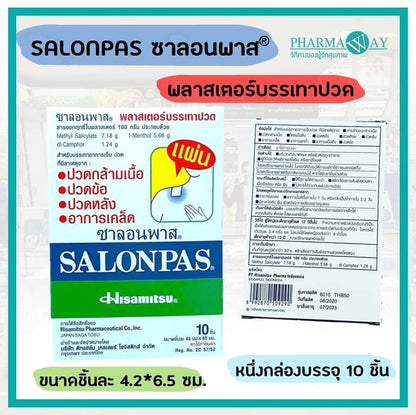 Salonpas Hisamitsu Pain Relief Patches Box of 10