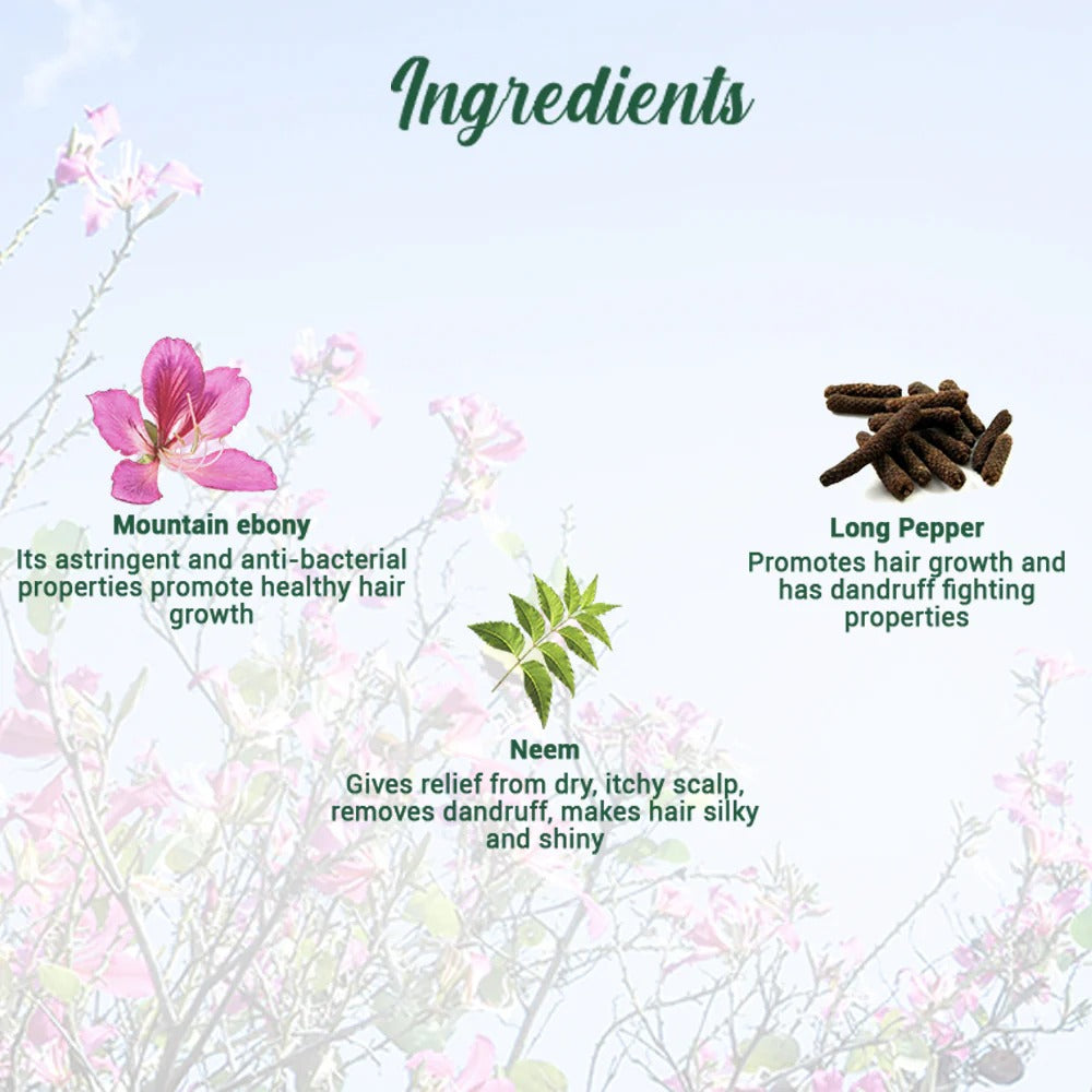 Biotique Mountain ebony anti hair fall hair serum 120 ml