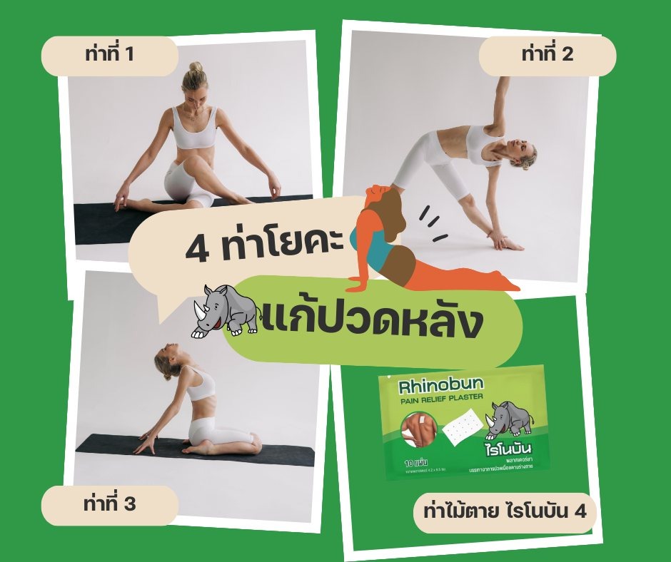 Rhinobun Pain Relief Plaster - 10 Sheets