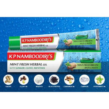 K P Namboodiri's Mint Fresh Herbal Gel 100g